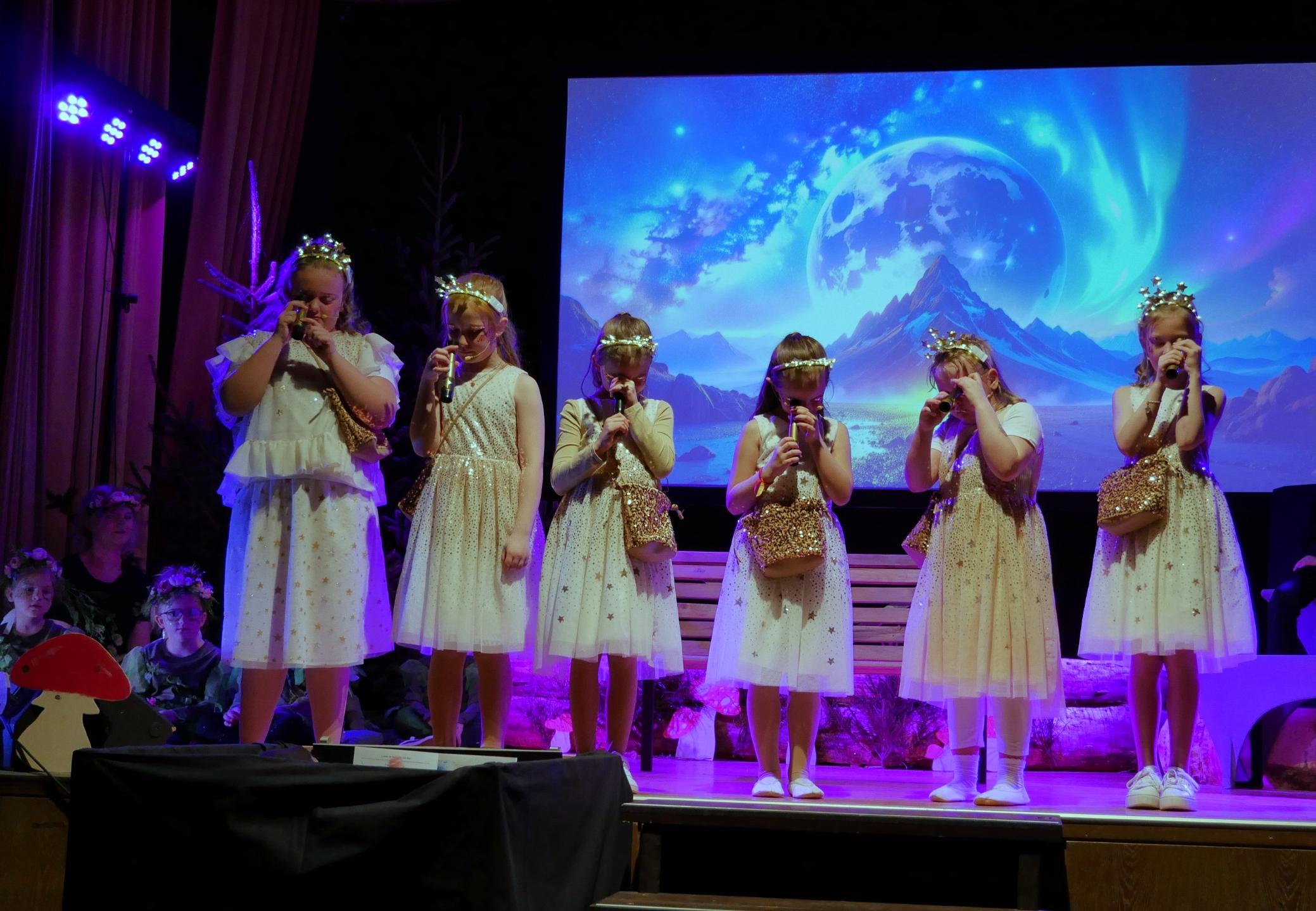 Musical Sternenzauber 14. und 15.03.2026 Wallenfels